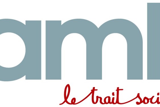 Logo AMLI